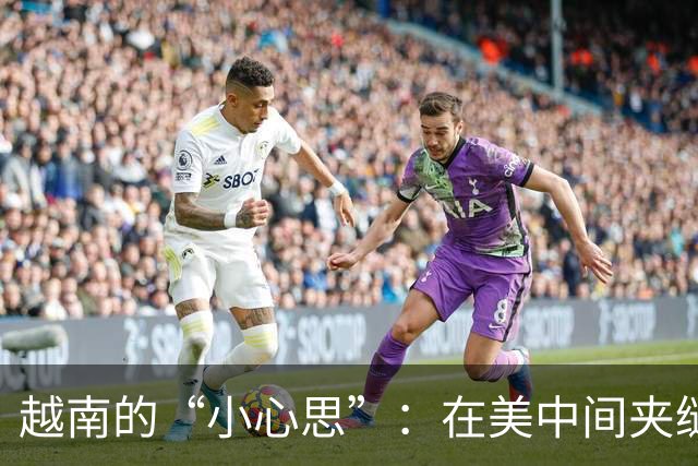 越南的“小心思”：在美中间夹缝中舞蹈